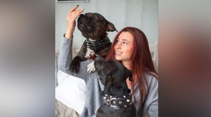 Moscow online: how to care for the dog during the isolation