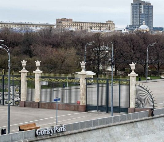Muscovites are invited to online a walk in the Park