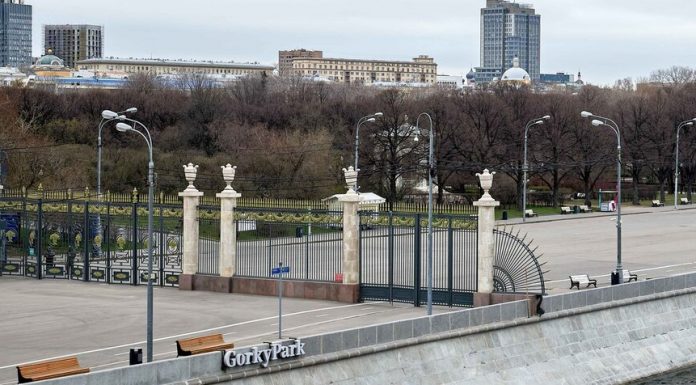 Muscovites are invited to online a walk in the Park