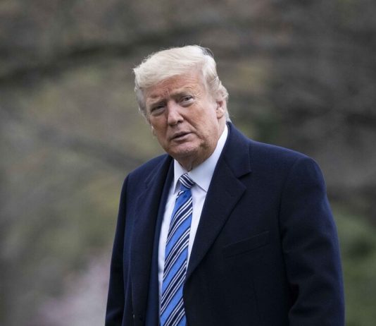 Peskov told about the reaction of the trump humanitarian aid from Russia Peskov told about the reaction of the trump humanitarian aid from Russia