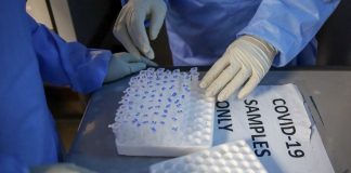 Russia will allocate who a million dollars to fight coronavirus