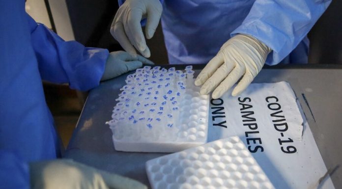 Russia will allocate who a million dollars to fight coronavirus