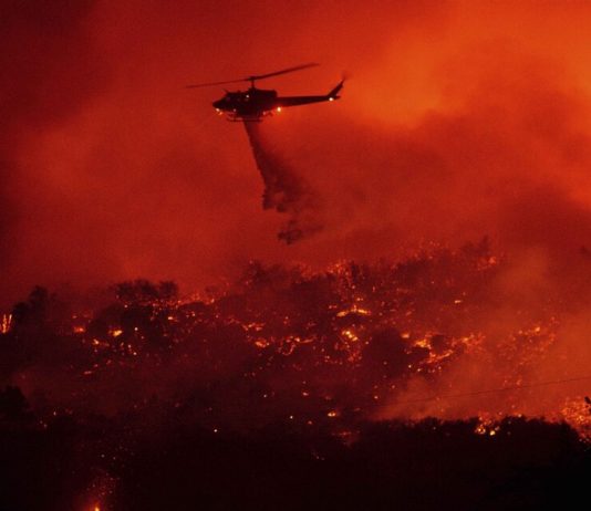 Scientists warned of large-scale fires throughout the world Scientists warned of large-scale fires throughout the world