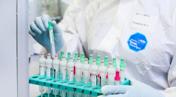 Tests for coronavirus in Russia spend 95 laboratories Tests for coronavirus in Russia spend 95 laboratories