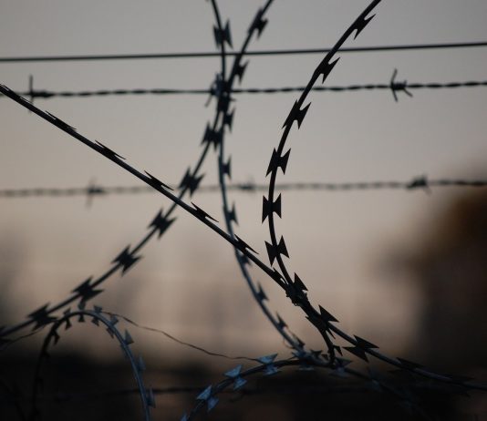 Thailand will begin to clamp to jail for jokes about the coronavirus Thailand will begin to clamp to jail for jokes about the coronavirus