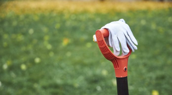 The capital has canceled Saturdays