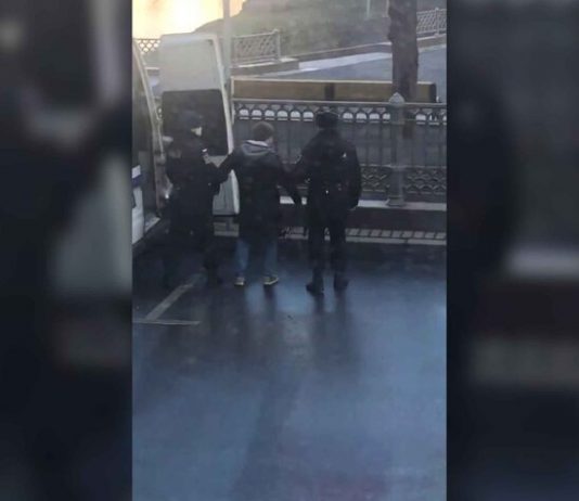 The court fined the man, who was detained while walking on the Patriarchal ponds