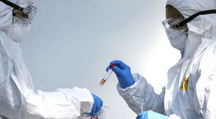 The doctors found, whether the coronavirus is transmitted sexually The doctors found, whether the coronavirus is transmitted sexually