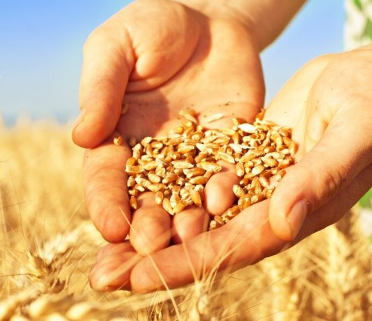 The experts identified areas that will not be affected because of the pandemic The experts identified areas that will not be affected because of the pandemic