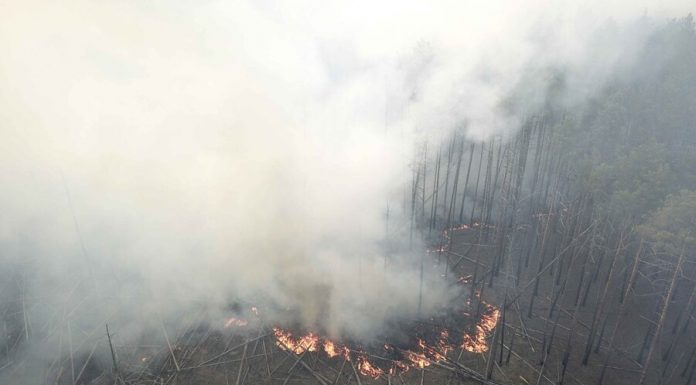 The fire in the Chernobyl zone will not affect the quality of air in Russia – the weatherman
