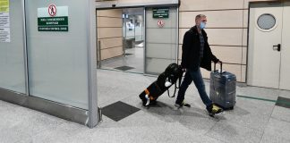 The first flight export to Russia will resume on April 6