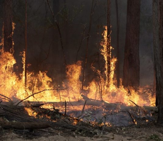 The jump in radiation occurred after the fire at Chernobyl The jump in radiation occurred after the fire at Chernobyl