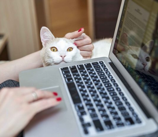 The who recommended to refrain from Smoking and alcohol during the isolation