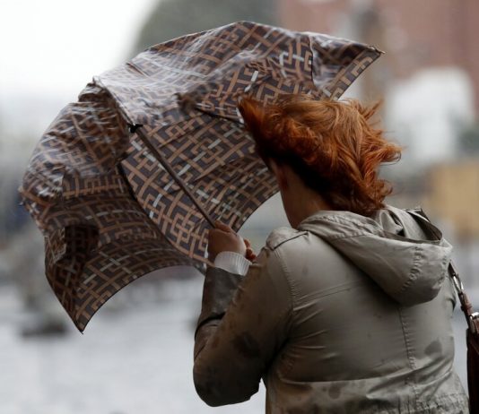 Yellow danger level extended in Moscow due to gusty wind Yellow danger level extended in Moscow due to gusty wind