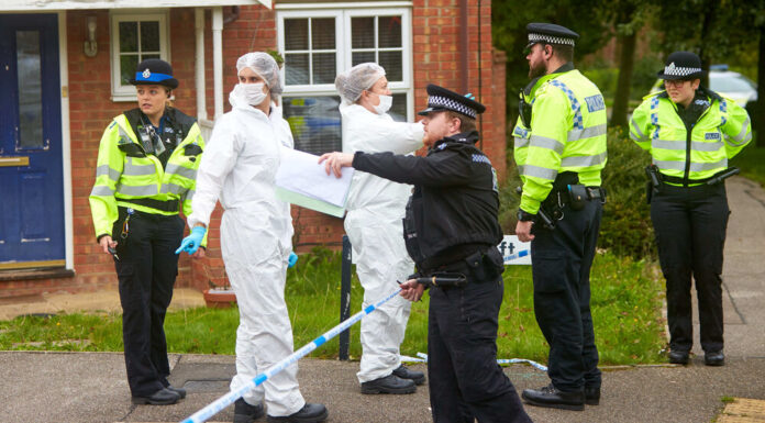 Creepy! Police find body parts and torso in two suitcases!