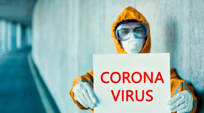 Was the corona lockdown a serious mistake? Experts criticize government