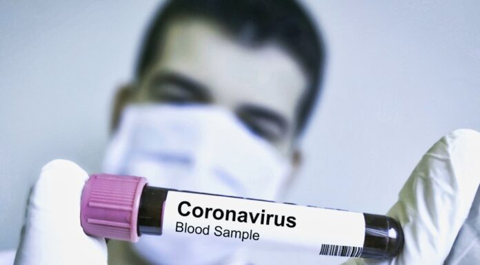 New research on corona virus: can cannabis help against the virus?