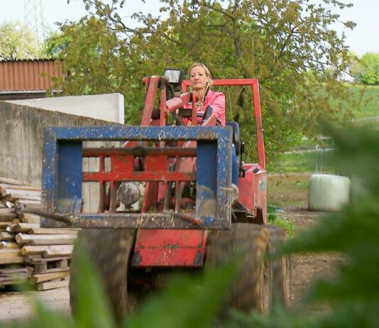 "Farmer is looking for a woman": These are the first new farmers