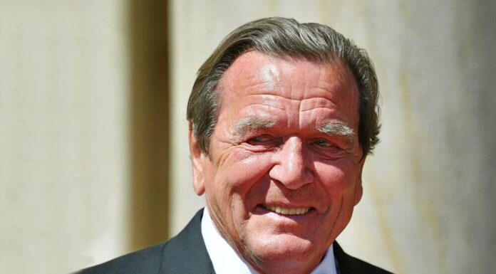 On the stove and on the mic: Gerhard Schröder reports back