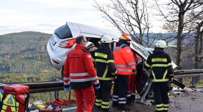 Horror accident! Drunk driver races in passers-by with two dogs!