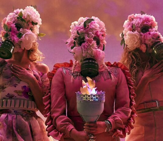 Who are the Dixie Chicks that everyone is talking about now?