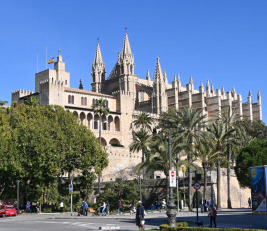 Off to Mallorca! 6,000 Germans can travel to Mallorca from June 15th – that's the reason!