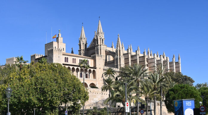 Off to Mallorca! 6,000 Germans can travel to Mallorca from June 15th – that's the reason!