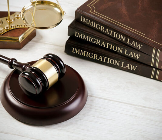 What Are Immigration Lawyers in Tampa